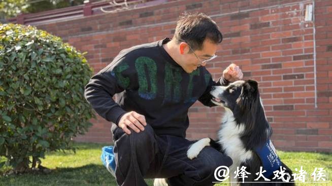 现实版“汪汪队立大功”！狗狗变身“疗愈师”，背后是一场14年的坚持